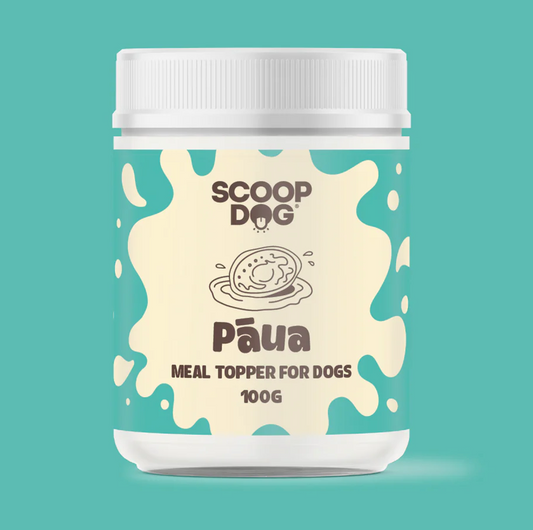 Scoop Dog Paua Topper