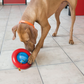 KONG Gyro Ball
