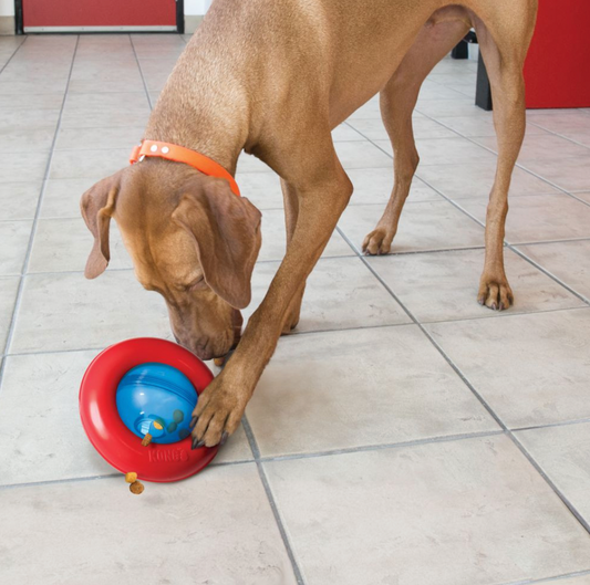 KONG Gyro Ball