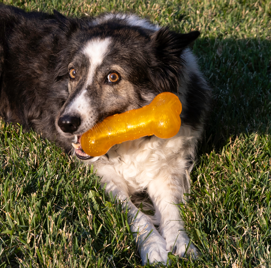 KONG Squeezz Crackle Bone
