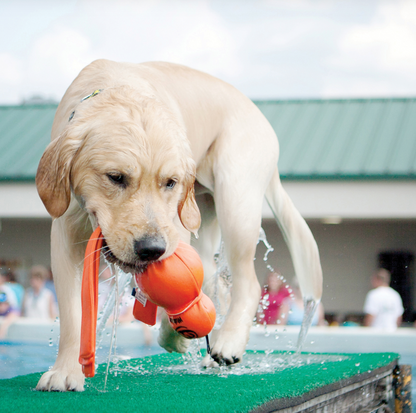KONG Wet Wubba