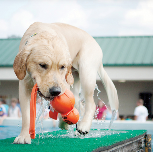 KONG Wet Wubba