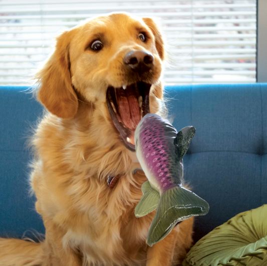 KONG Wild Sheildz Trout