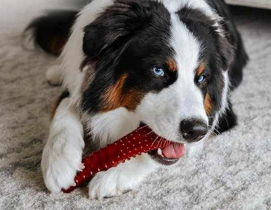 Power Chew Basted Bone - Souper