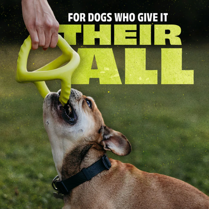 Benebone Bounce Tug