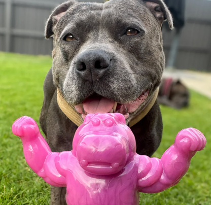 Chomp-O-Potamus | Happy Staffy Co Chewzilla® Dog Chew Toy