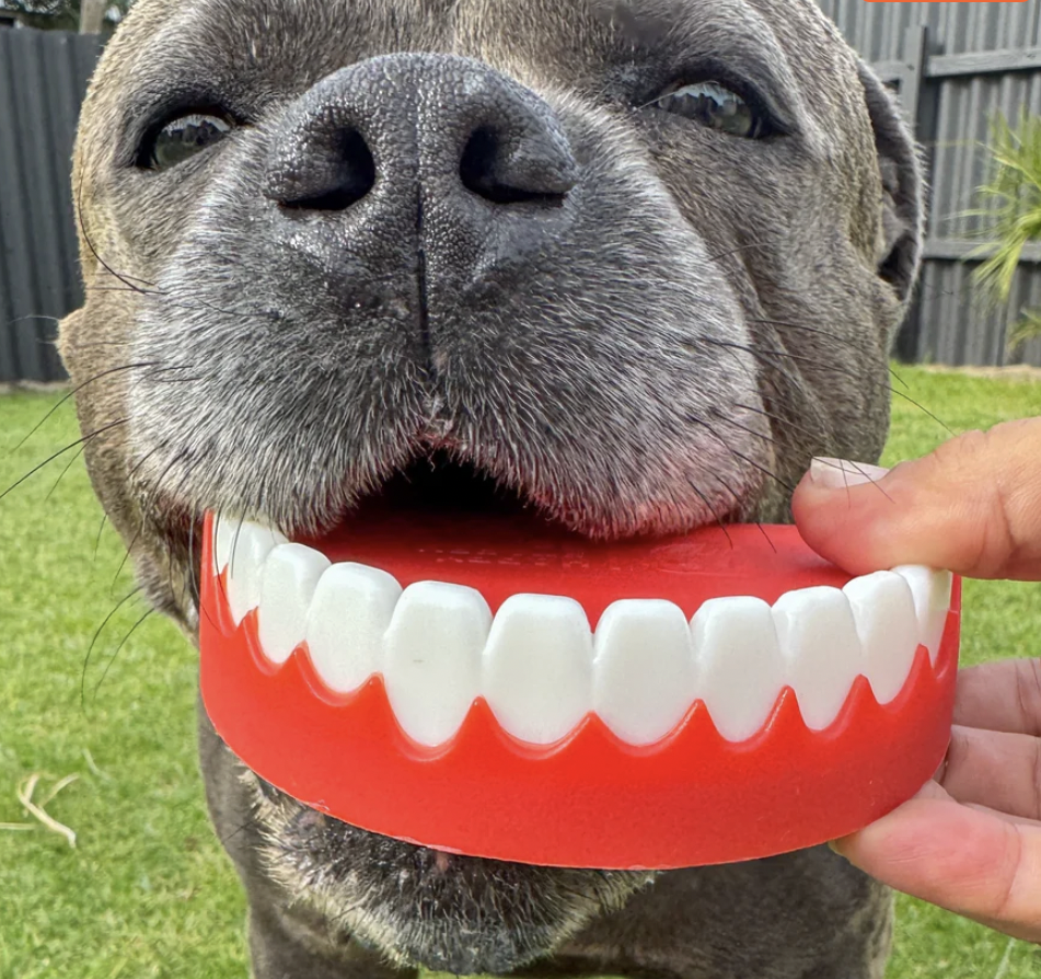 Chatter Chompers | Happy Staffy Co Chewzilla® Dog Chew Toy