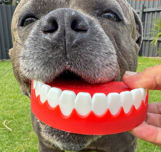 Chatter Chompers | Happy Staffy Co Chewzilla® Dog Chew Toy