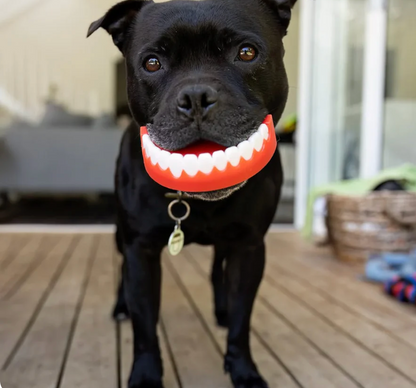 Chatter Chompers | Happy Staffy Co Chewzilla® Dog Chew Toy