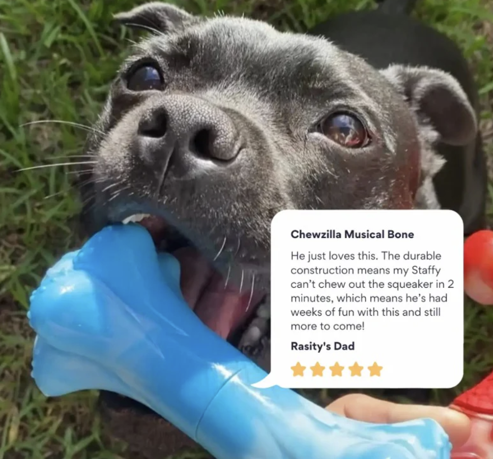 Chewzilla Musical Bone | Happy Staffy Co Chewzilla® Dog Chew Toy
