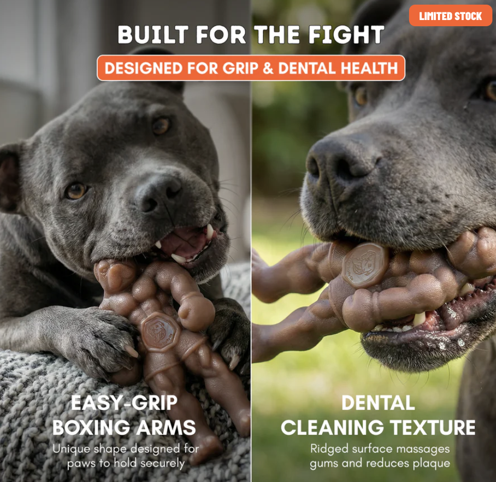 Staffy Balboa | Happy Staffy Co Chewzilla® Dog Chew Toy