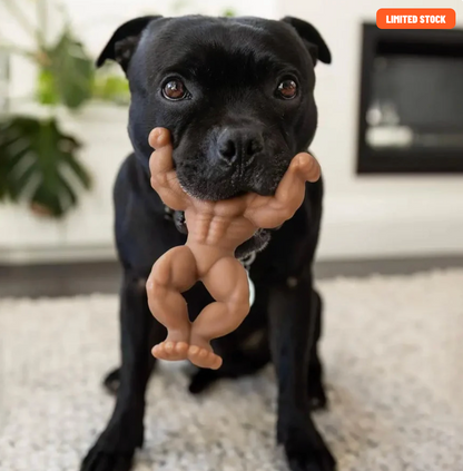 Staffy Schwarzenegger | Happy Staffy Co Chewzilla® Dog Chew Toy