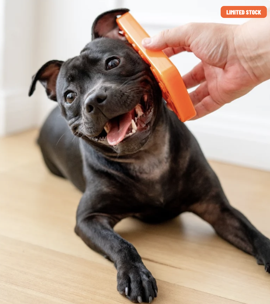 Chewzilla iBone | Happy Staffy Co Chewzilla® Dog Chew Toy