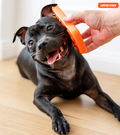 Chewzilla iBone | Happy Staffy Co Chewzilla® Dog Chew Toy