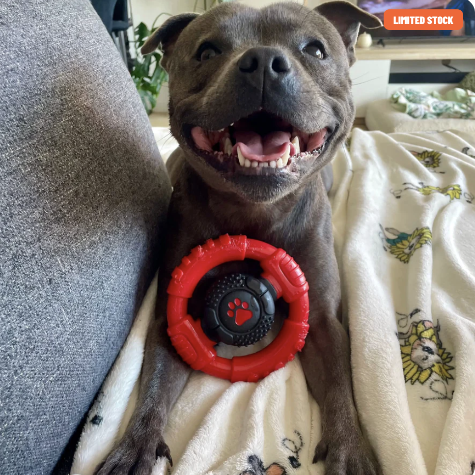 Power Chew Wheel | Happy Staffy Co PowerFlex® Dog Chew Toy