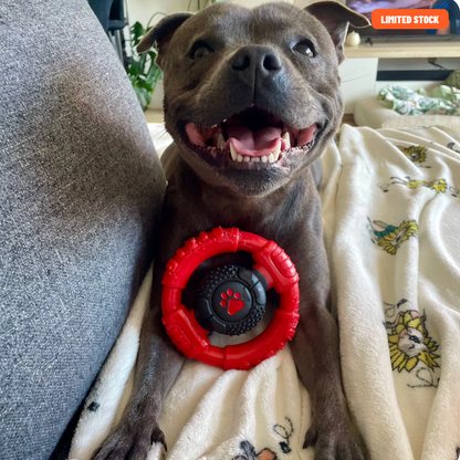 Power Chew Wheel | Happy Staffy Co PowerFlex® Dog Chew Toy