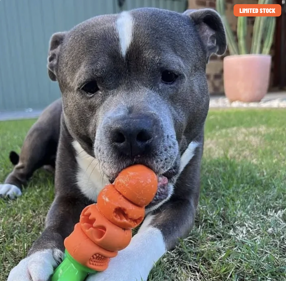 Chomp Carrot | Happy Staffy Co Power Chewers Dog Toy