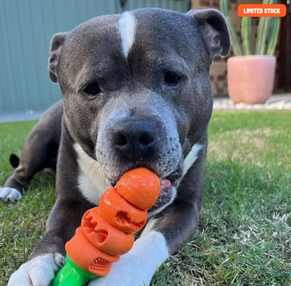 Chomp Carrot | Happy Staffy Co Power Chewers Dog Toy