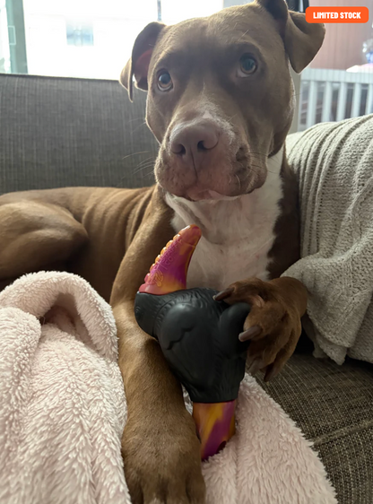 Trevor The Toucan | Happy Staffy Co Dog Toy
