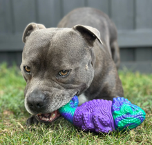 Camo The Chameleon | Happy Staffy Co Power Chewers Dog Toy