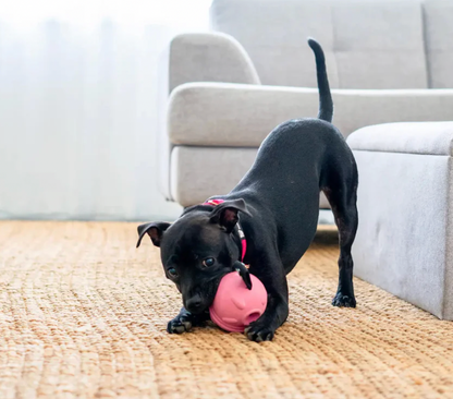 Poppy Pig Treat Dispenser | Happy Staffy Co Dog Enrichment Toy