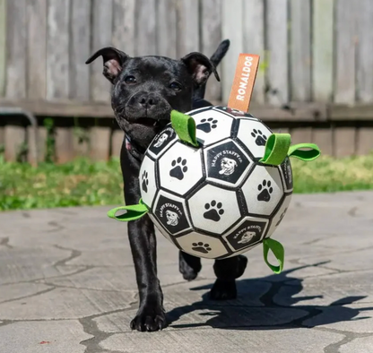 Ronaldog Soccer Ball | Happy Staffy Co Interactive Dog Toy