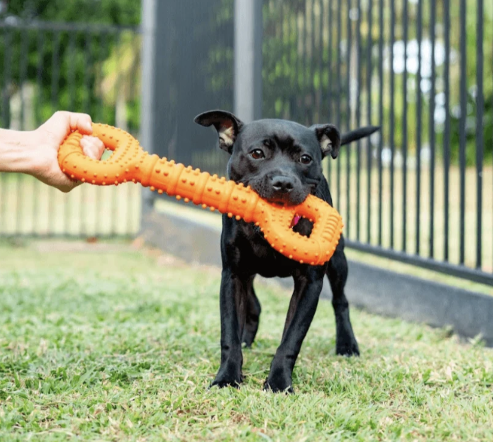 Tommy Tug Handle | Happy Staffy Co Interactive Dog Toy