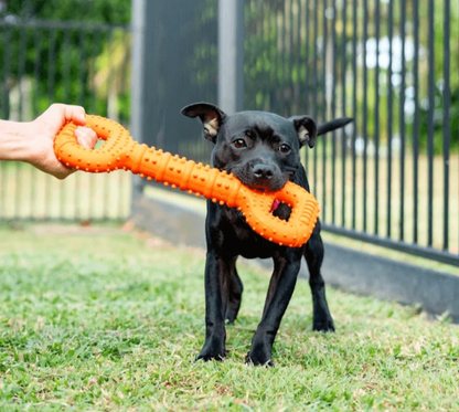 Tommy Tug Handle | Happy Staffy Co Interactive Dog Toy