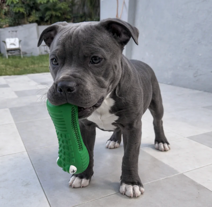Crocodile Dental Chew | Happy Staffy Co Power Chewers Dog Toy