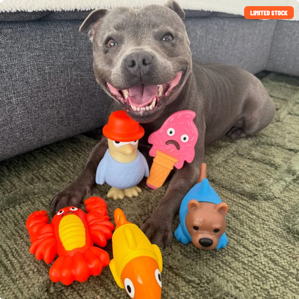 PowerFlex Beach Trip | Happy Staffy Co Power Chewers 5-Pack