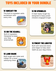 PowerFlex Beach Trip | Happy Staffy Co Power Chewers 5-Pack