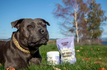 Goat Milk Powder - Scoop Dog