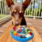 SodaPup eCoin-Rover Pet Products-Air (Blue)-Shine Pets