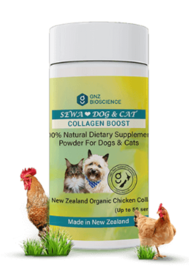 SEVA Dog & Cat Collagen Boost 50gm-GNZ Bioscience-Shine Pets