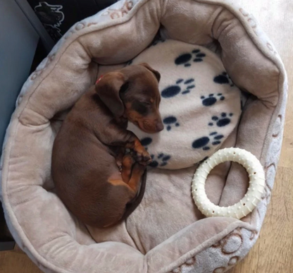 SnuggleSafe Microwave Heatpad-Brooklands-Shine Pets