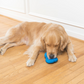 Chilly Penguin Freezable Treat Toy