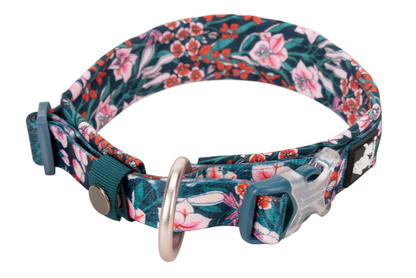 Dog Collar - True Love