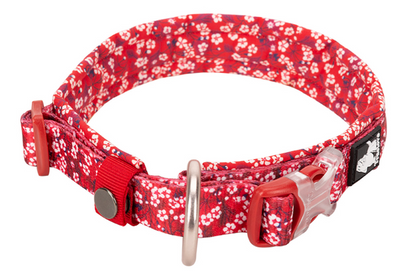 Dog Collar - True Love