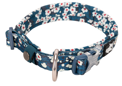 Dog Collar - True Love