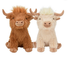 Highland Cow Shaggy