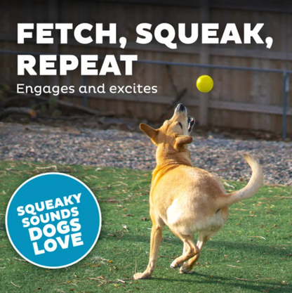 Orbee-Tuff Tennis Ball Treat-Dispensing Dog Chew Toy