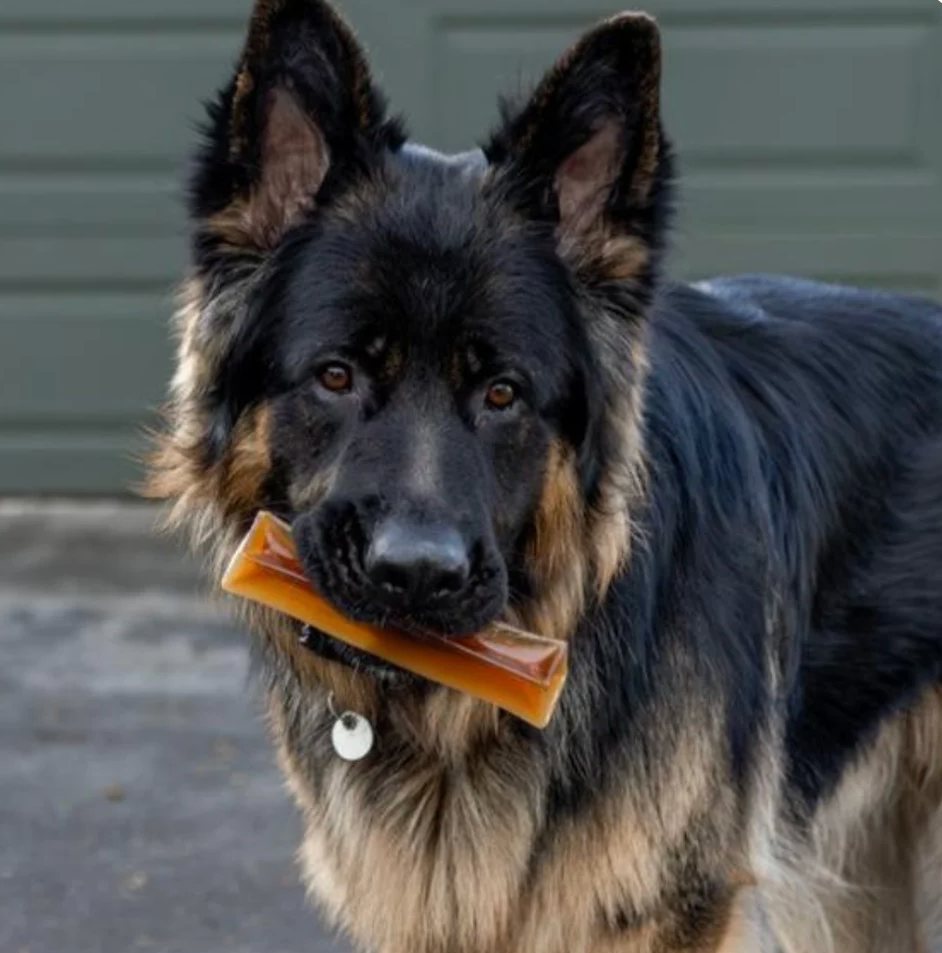 Chonkers Marrow Chews
