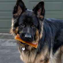 Chonkers Marrow Chews