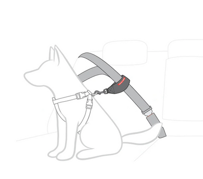 EzyDog Car Seat Attachment