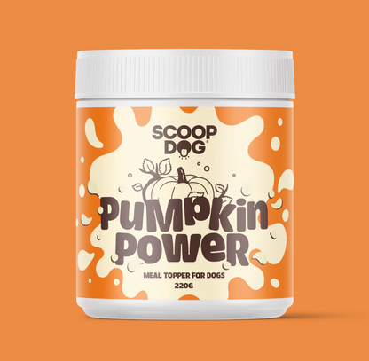 Scoop Dog Pumpkin Power