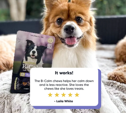 Vetafarm Lovebite B-Calm Dog Chew