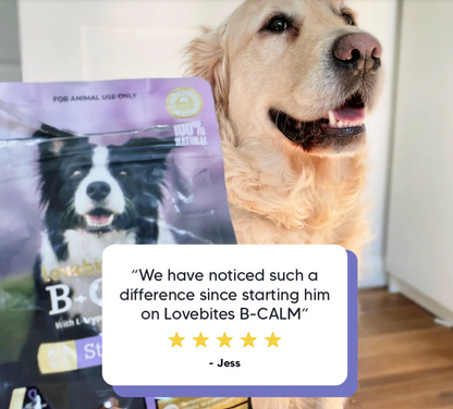 Vetafarm Lovebite B-Calm Dog Chew