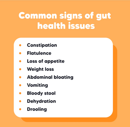 Vetafarm Lovebites Synbiotic Meal Topper (Probiotic and Prebiotic for dogs and cats)