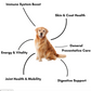 Pawsome Nutrition Complete Canine 200g – Dog Supplement
