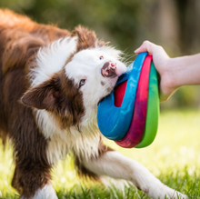 West Paw Seaflex Sailz (Soft Dog High-Flying Disc Toy)
